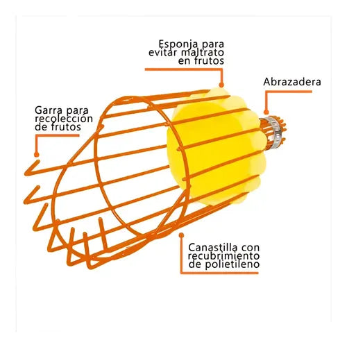 Recolector de Fruta sin Mango Truper